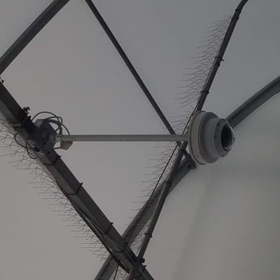 Field testing the IR rig, 2019